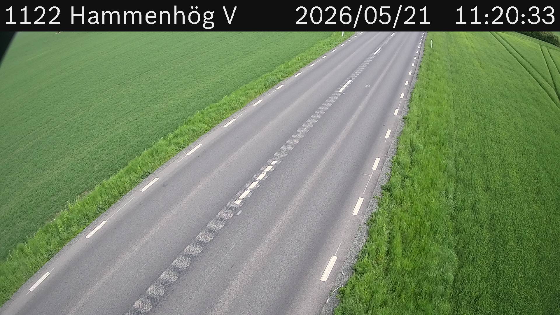 Hammenhög V