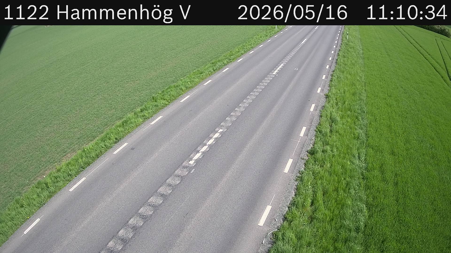 Hammenhög V