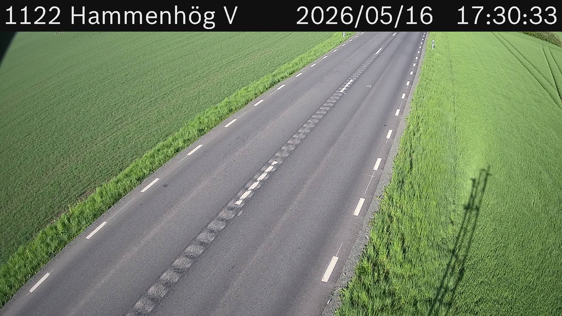 Hammenhög V