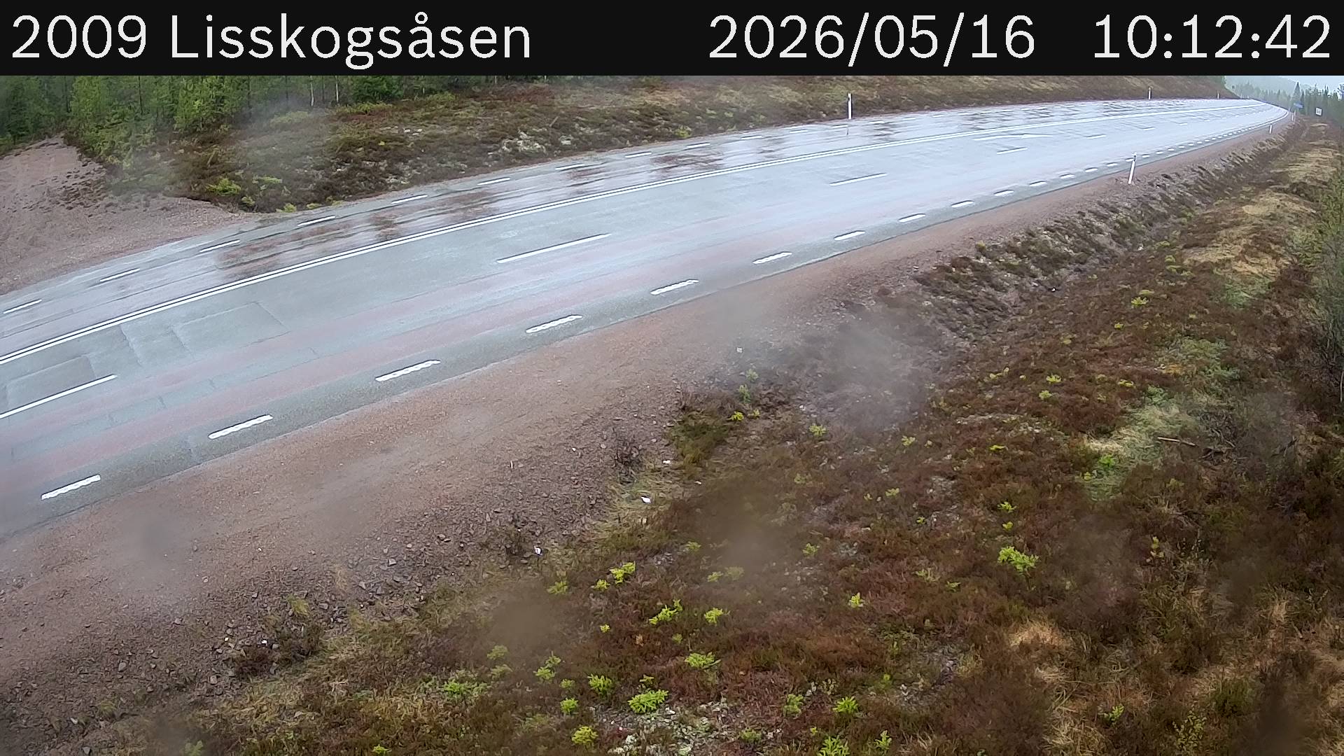 Lisskogsasen
