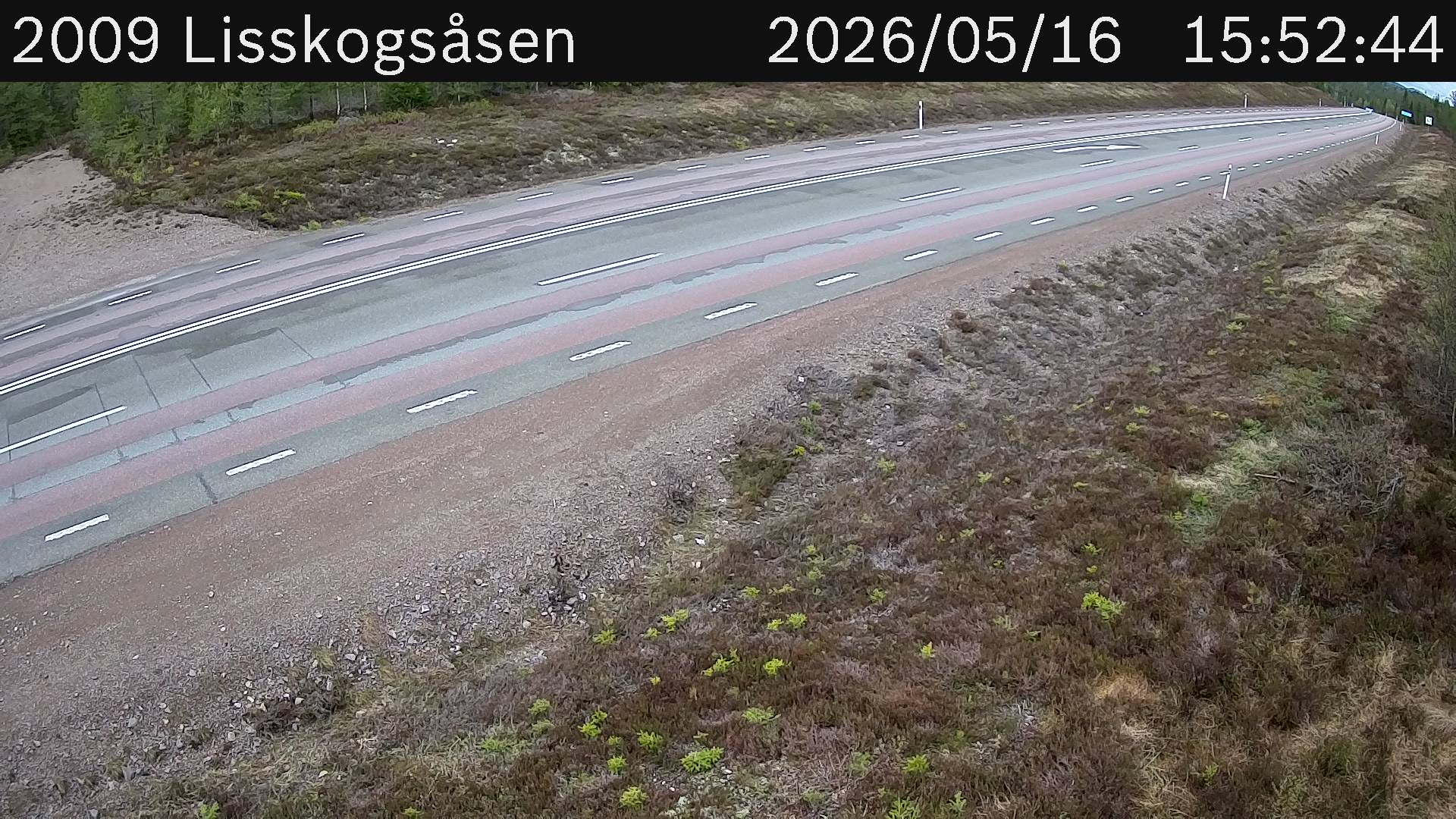 Lisskogsasen