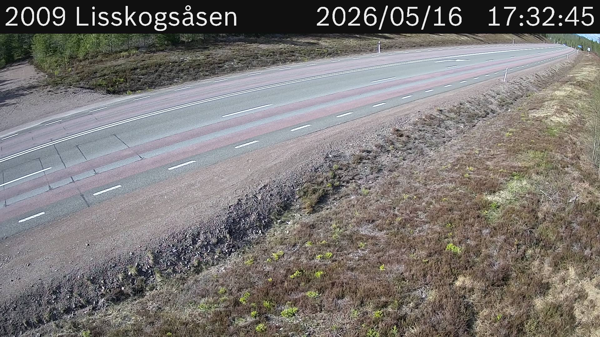 Lisskogsasen