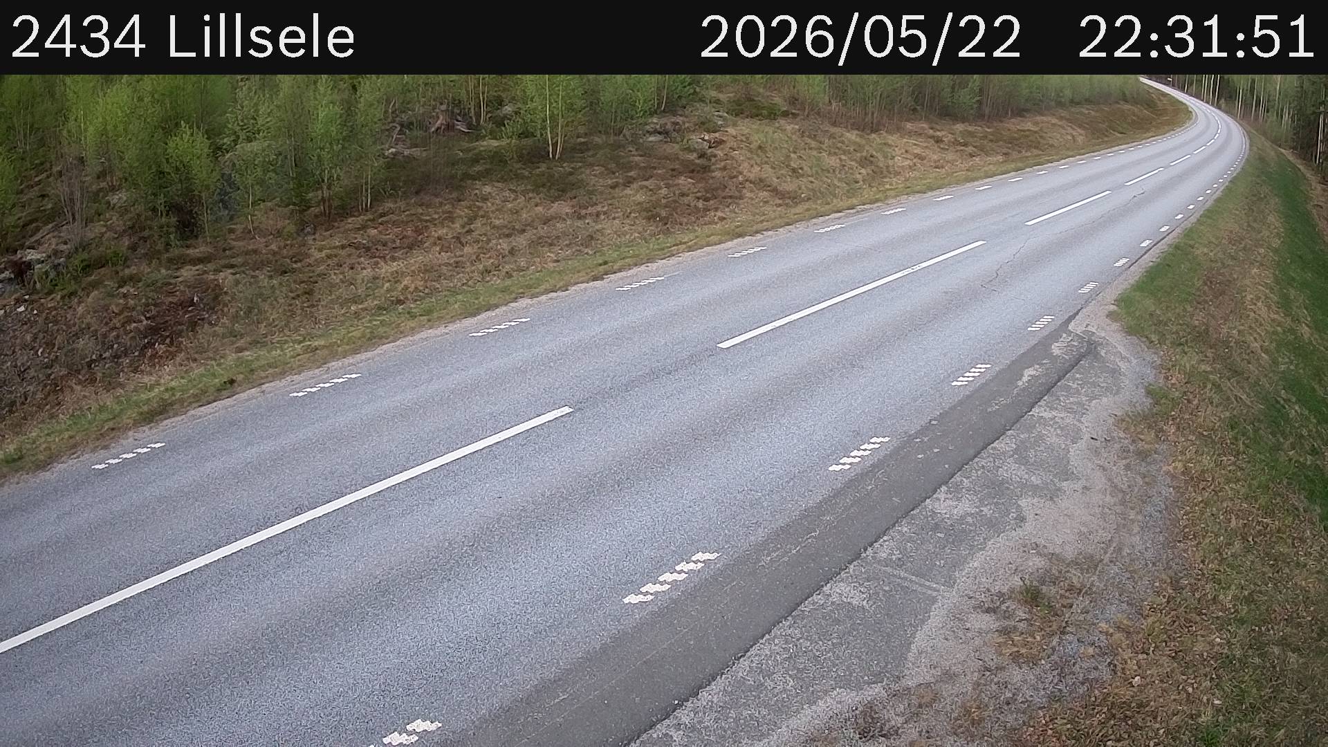 Lillsele