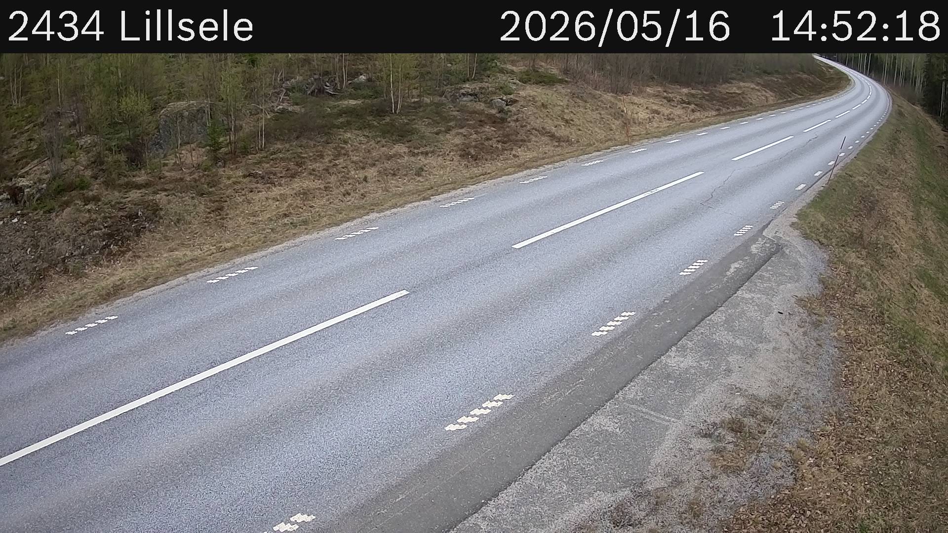 Lillsele
