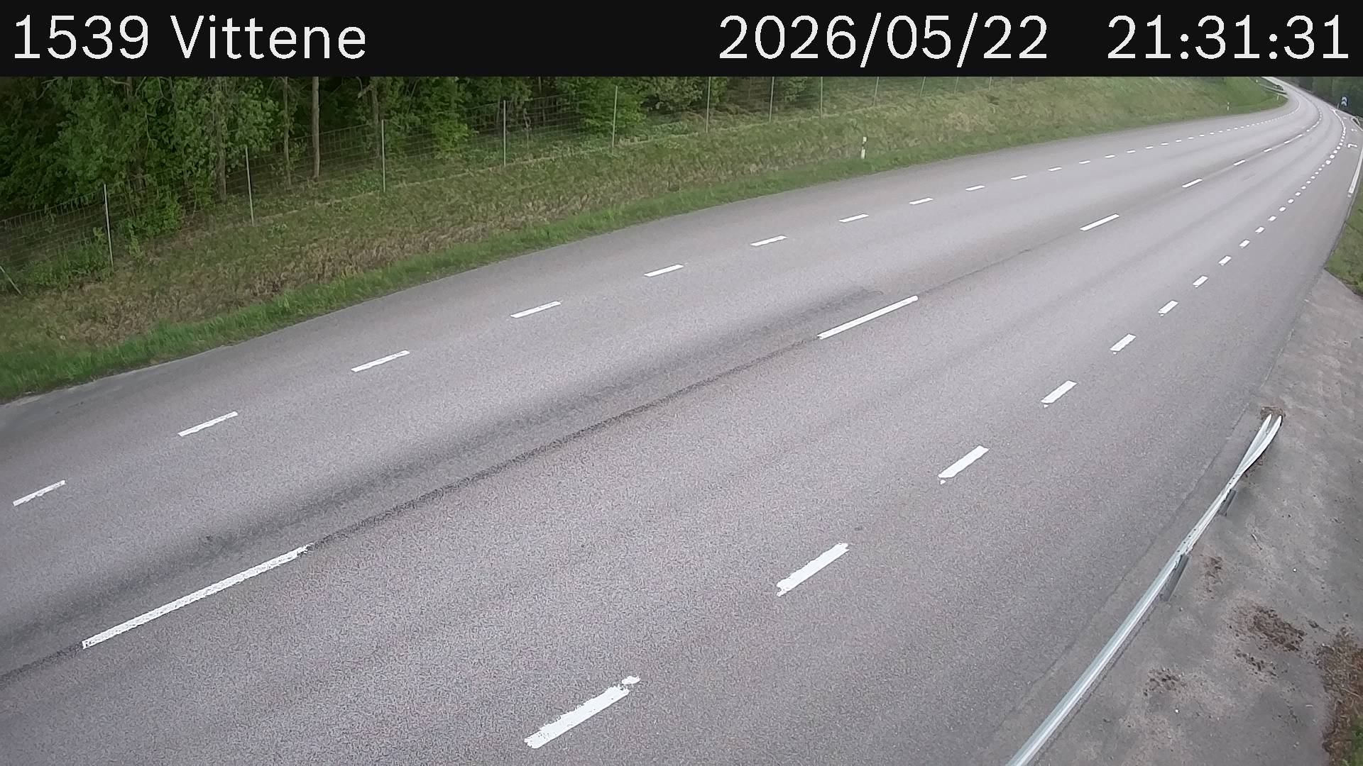 Vittene