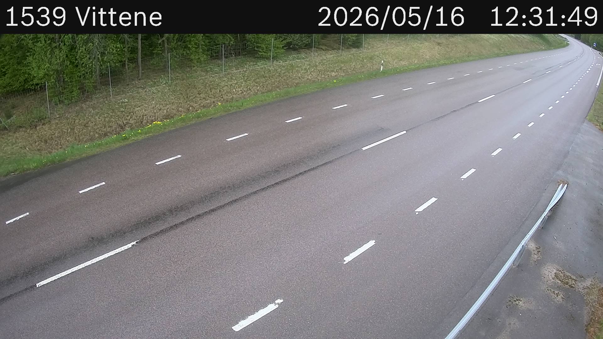 Vittene