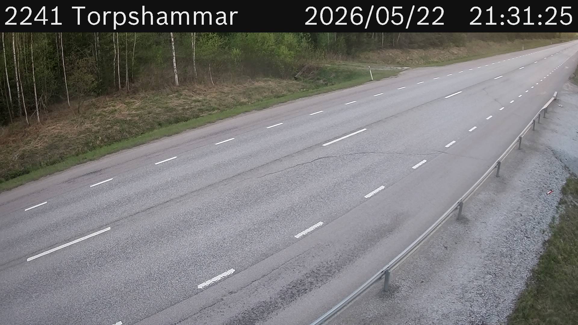 Torpshammar