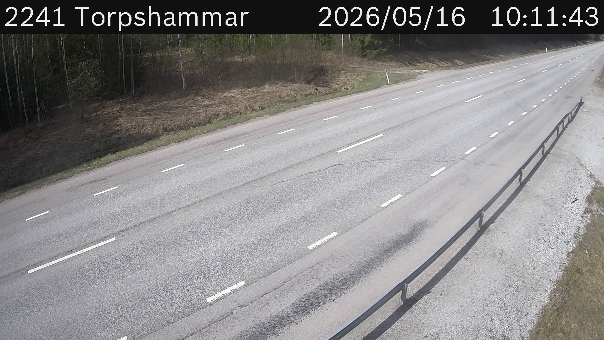 Torpshammar