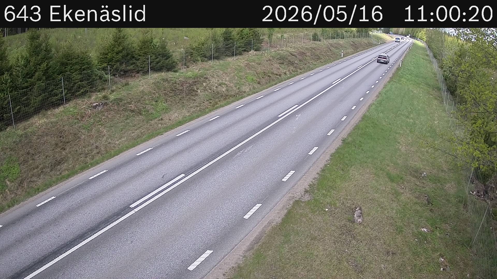 Ekenäslid