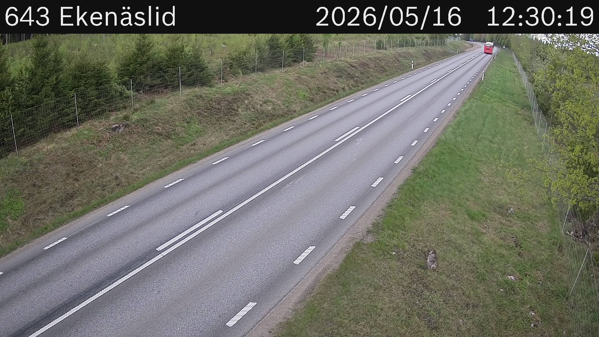 Ekenäslid