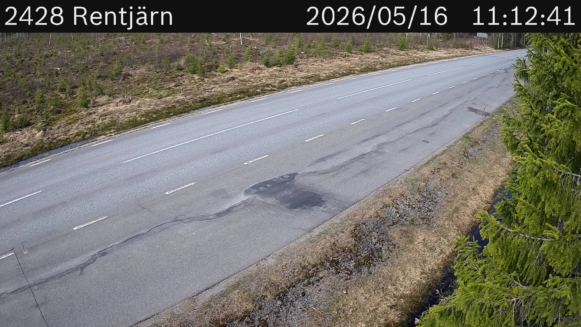 Rentjärn