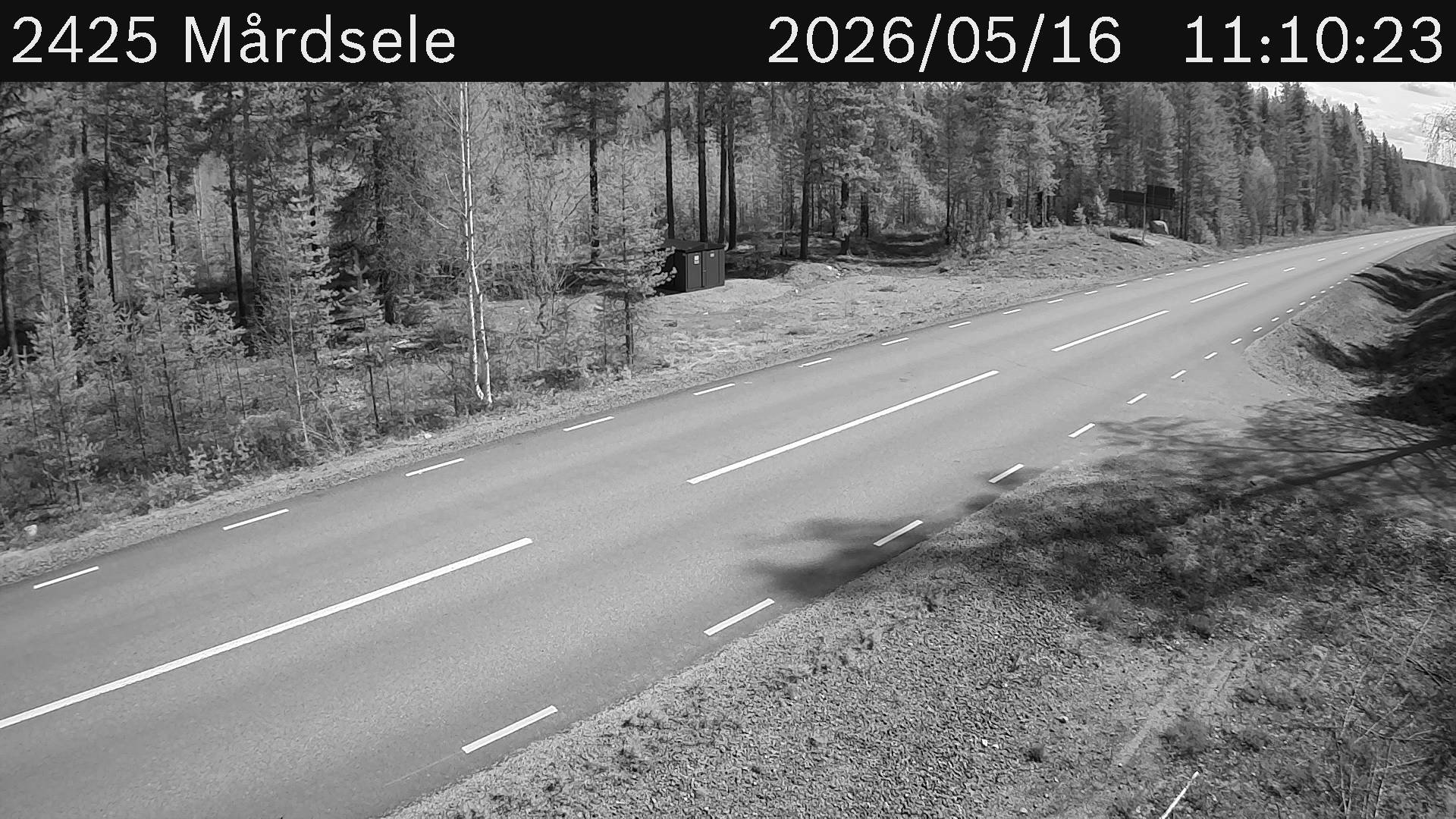 Mårdsele