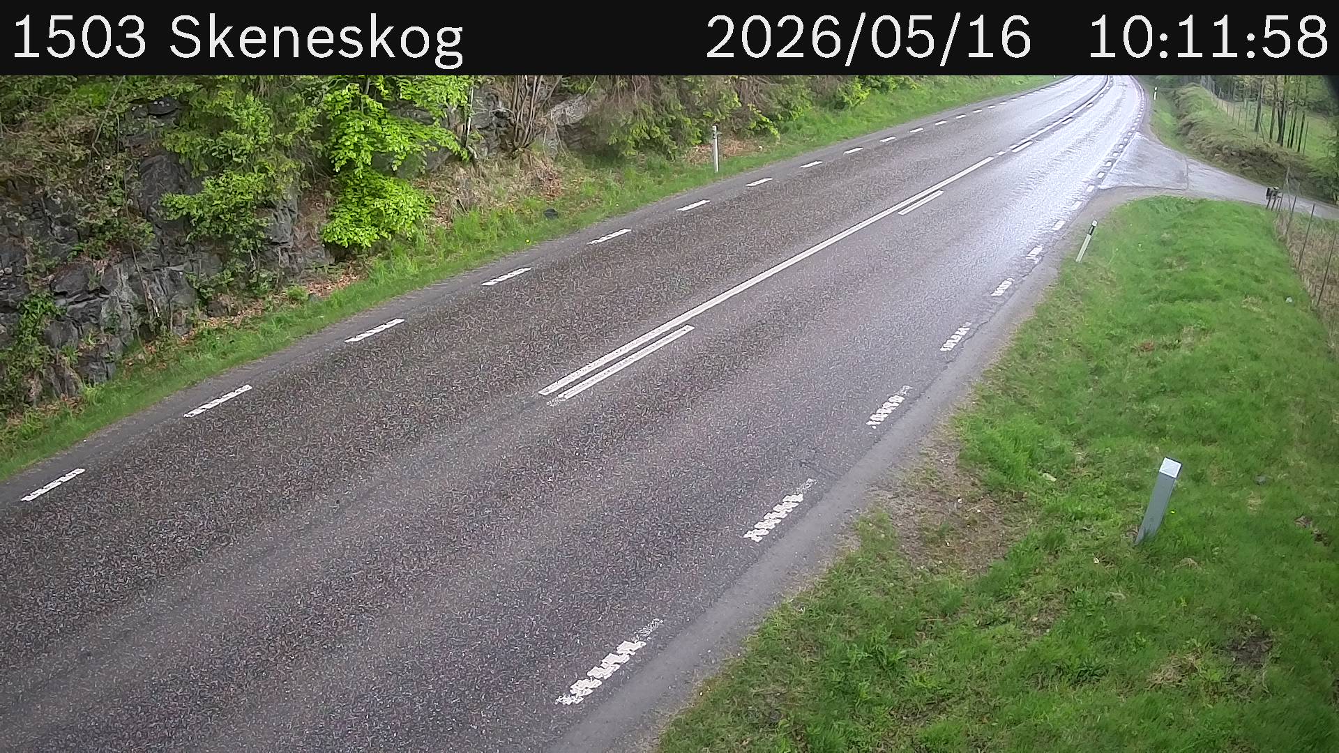 Skeneskog