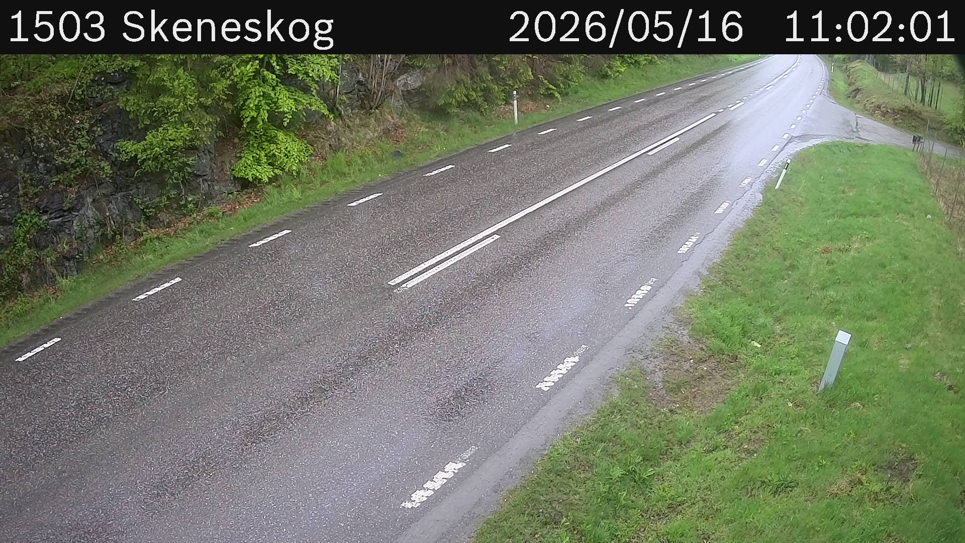 Skeneskog