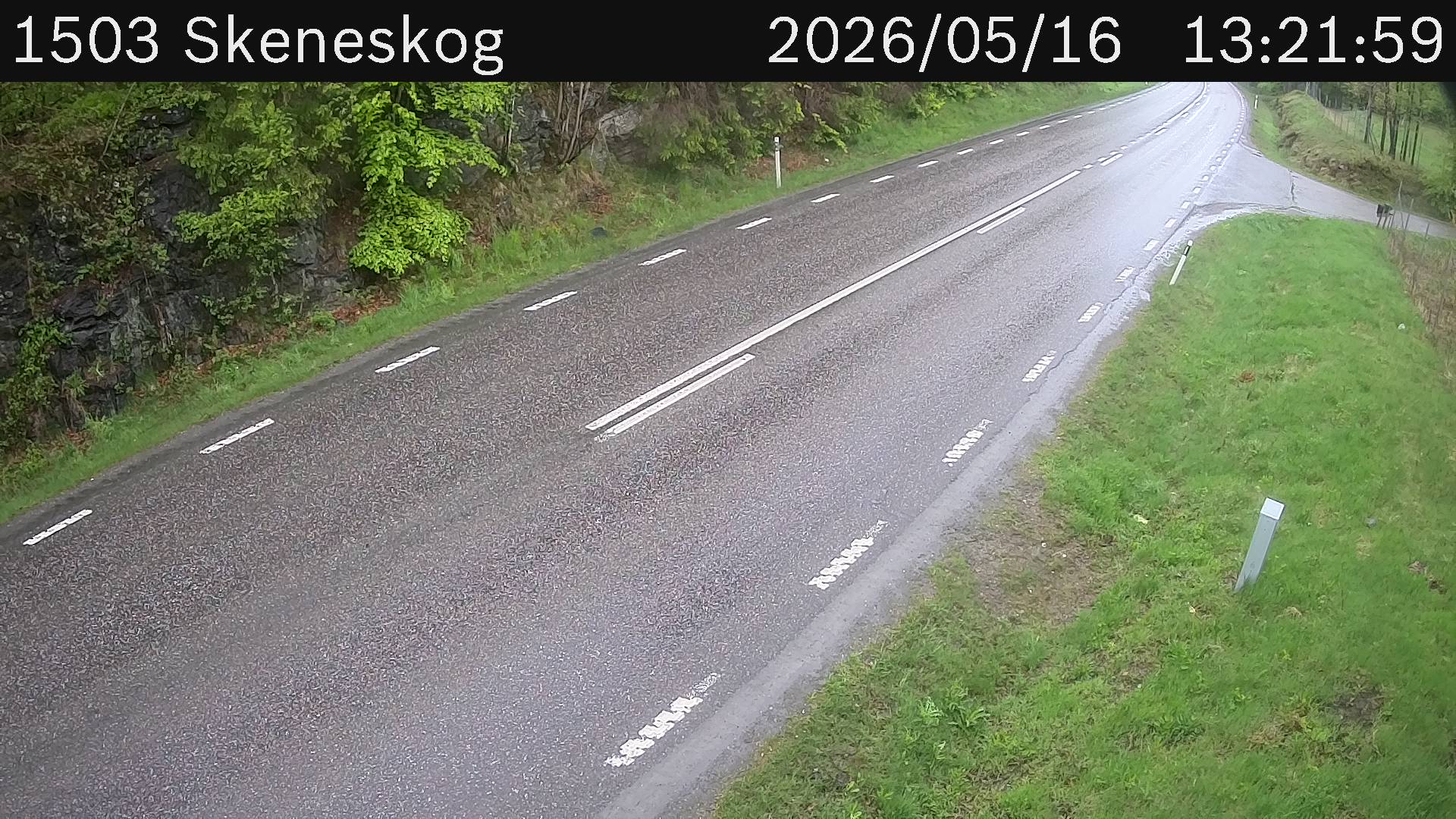 Skeneskog