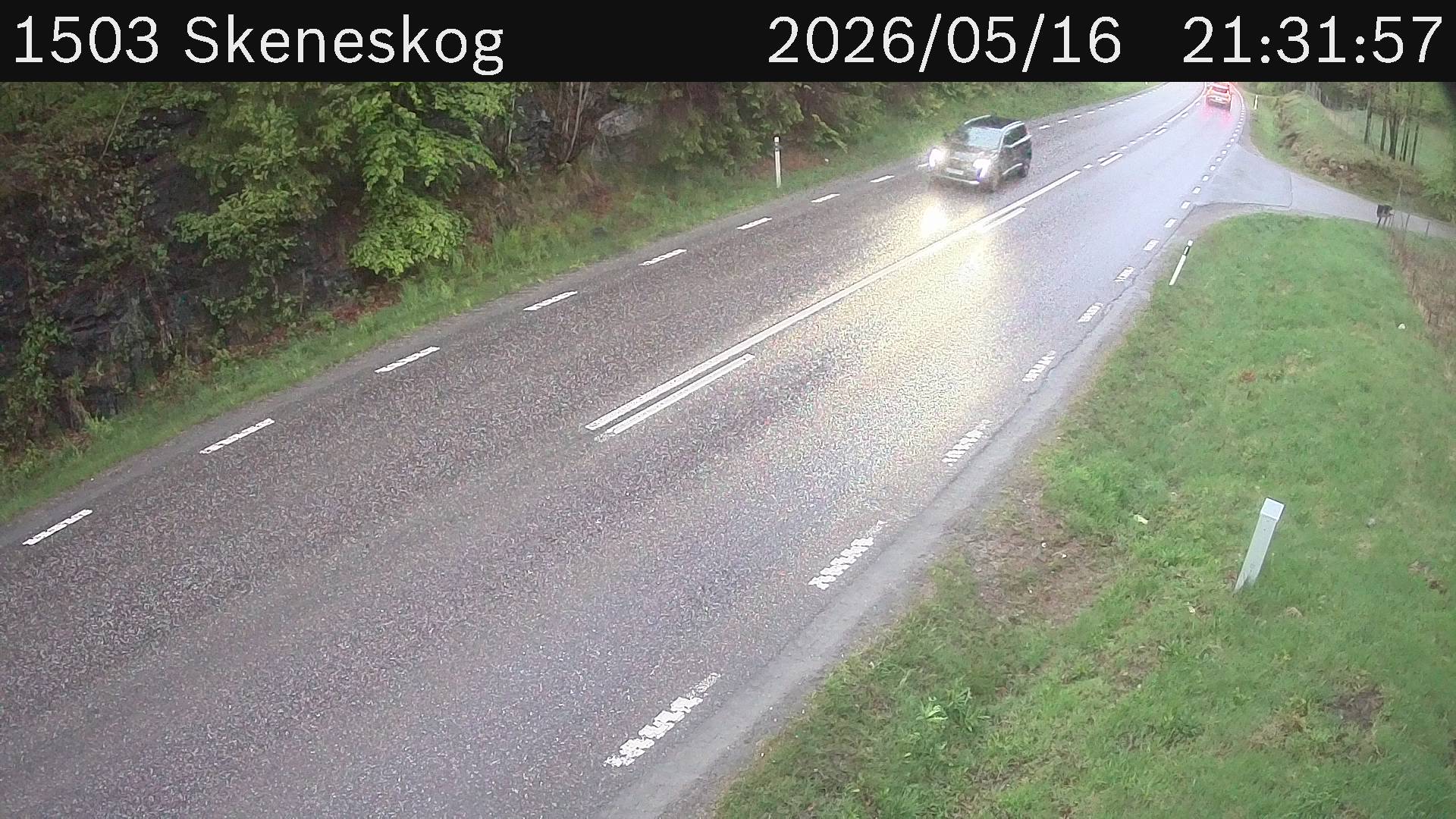 Skeneskog