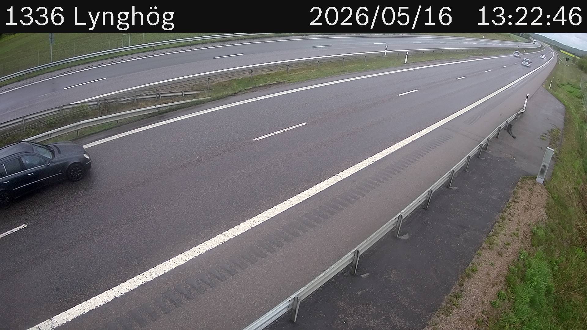Lynghög