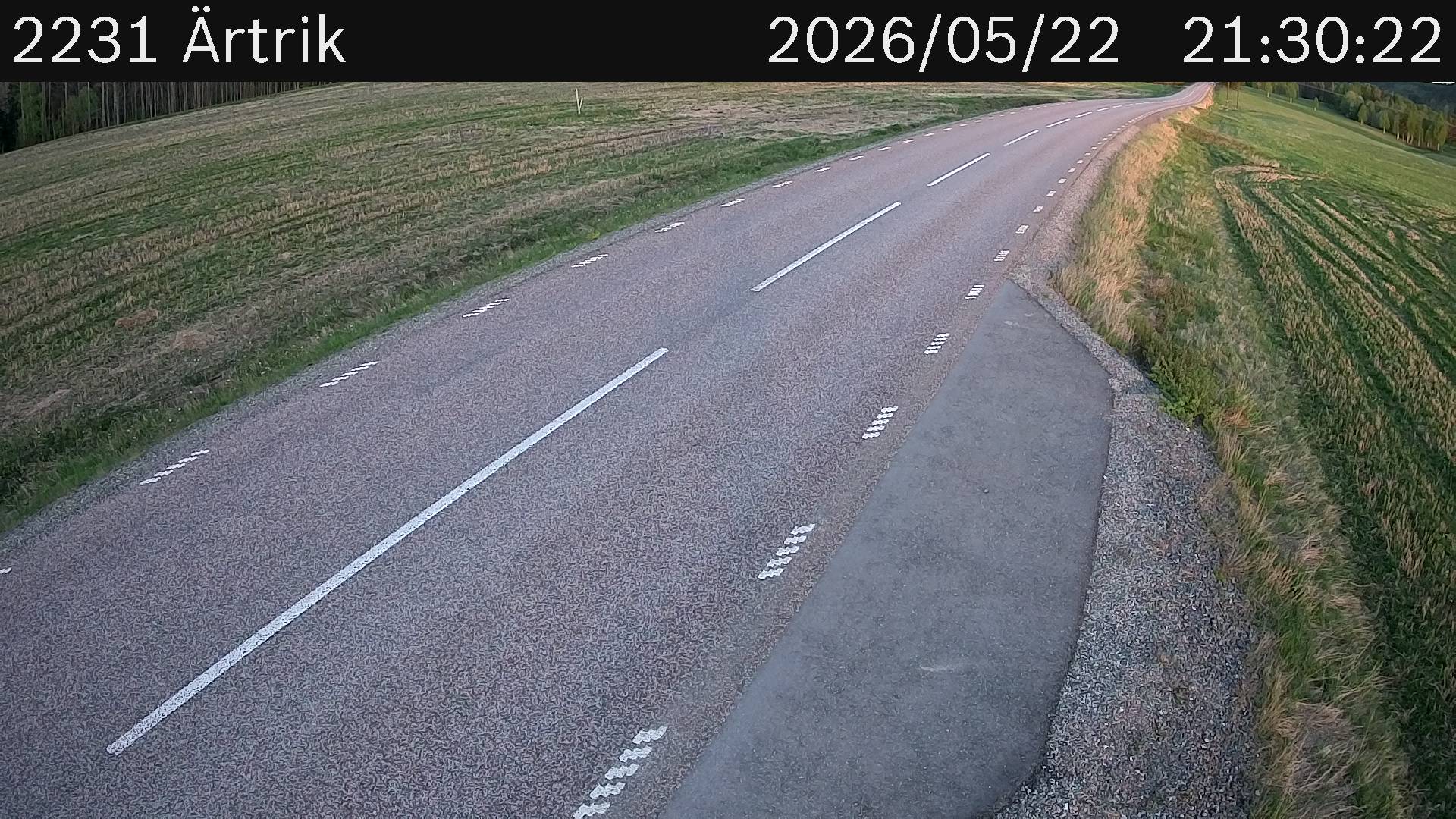 Ärtrik