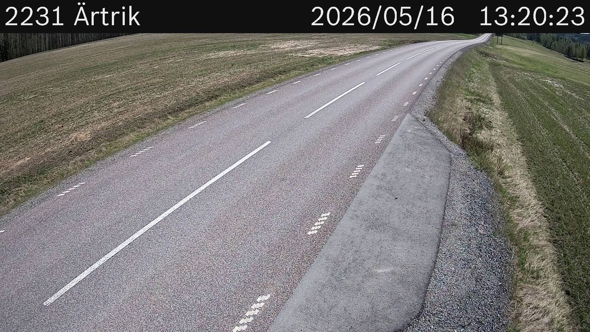 Ärtrik