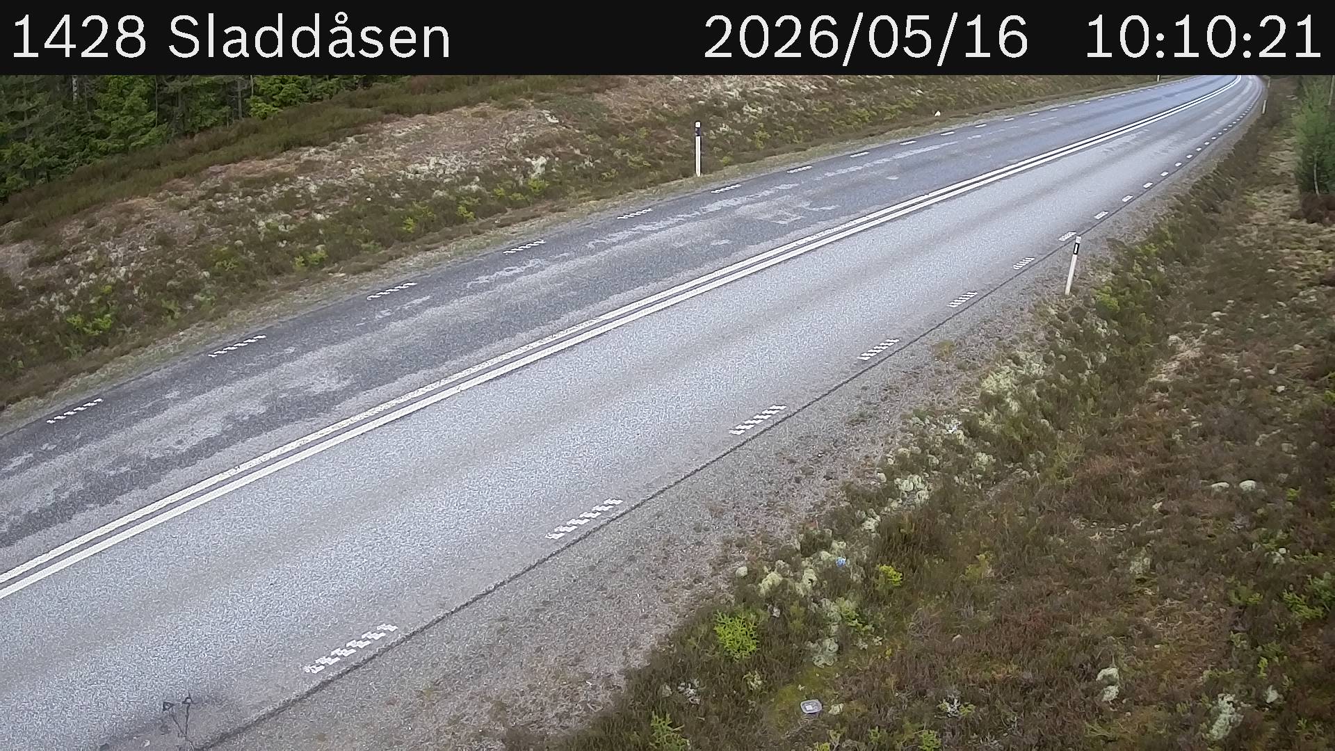 Sladdåsen