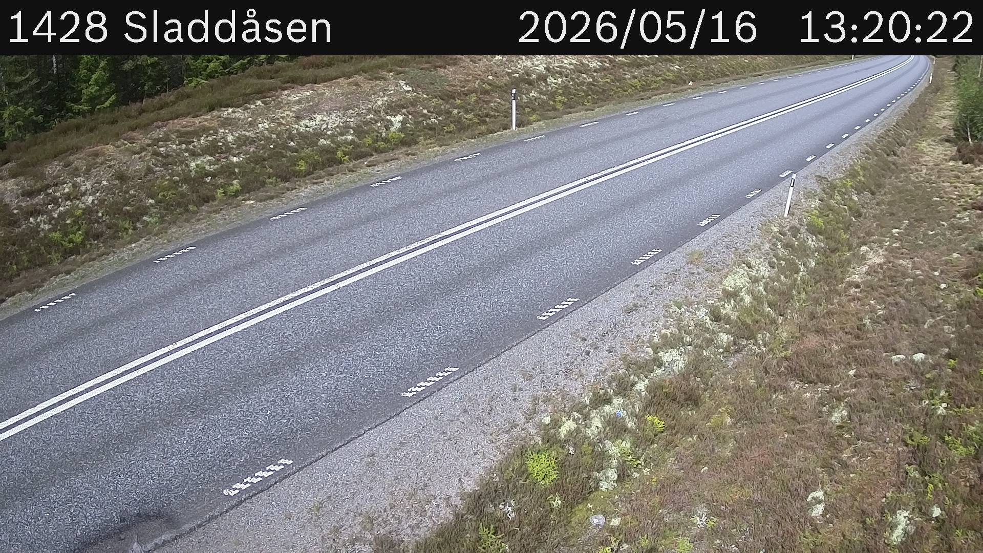Sladdåsen
