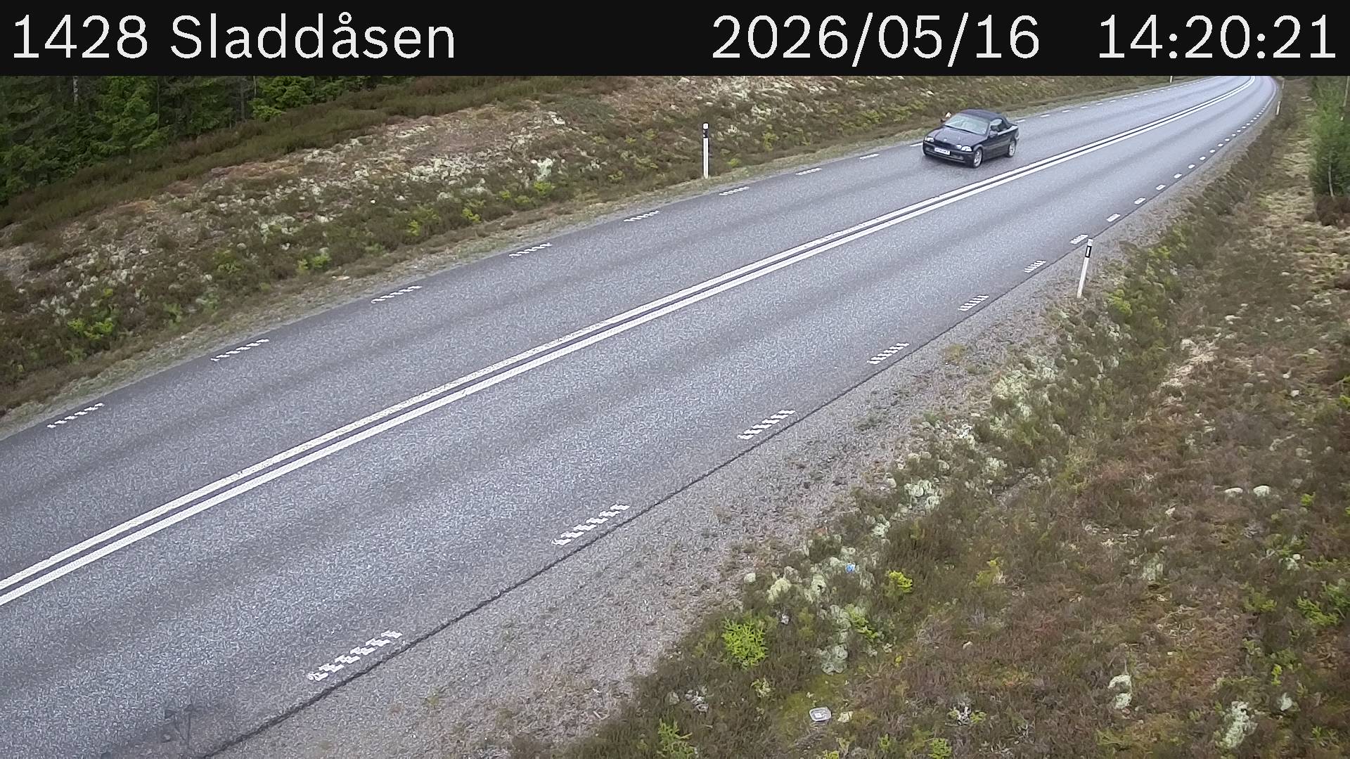 Sladdåsen