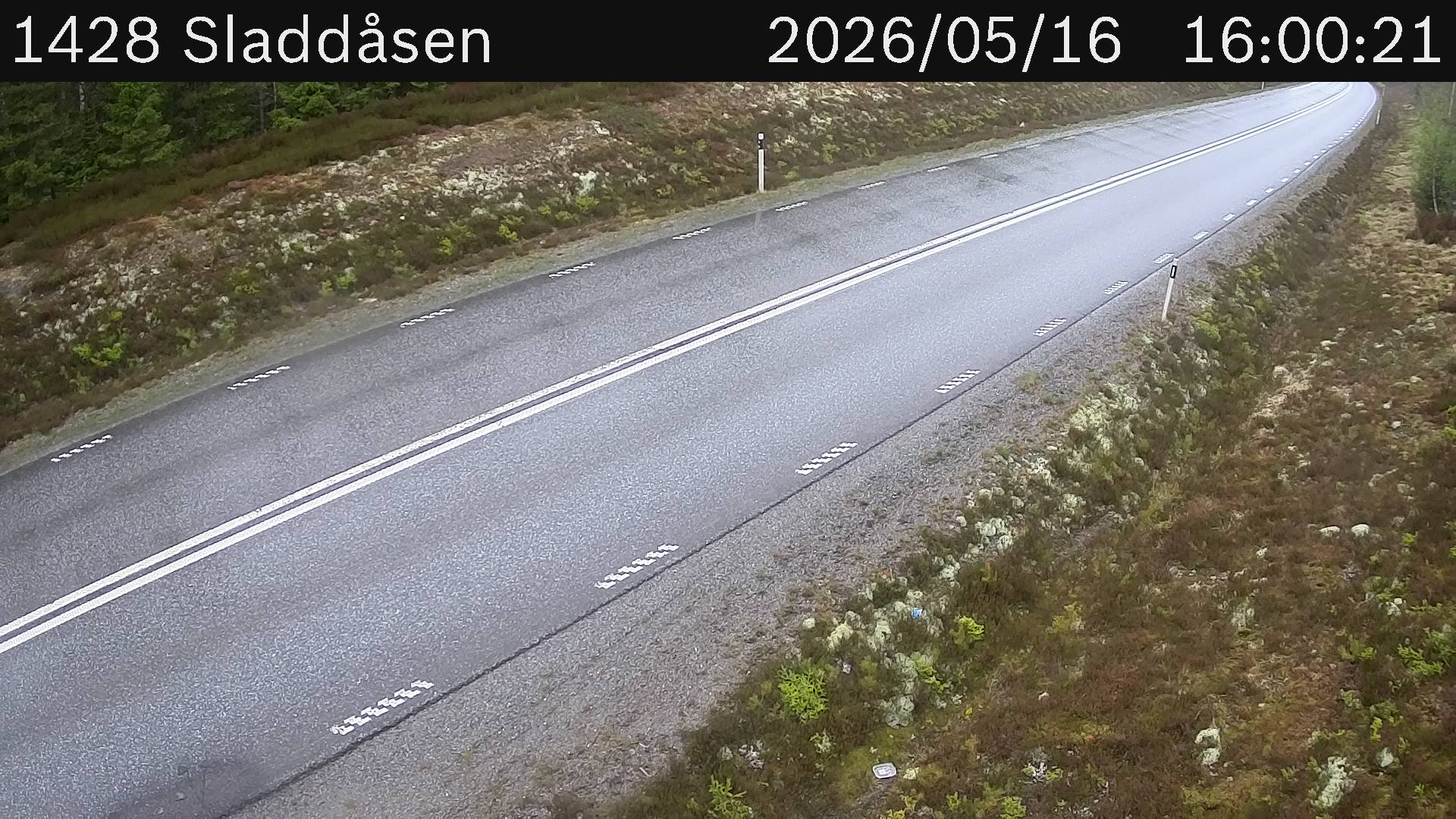 Sladdåsen