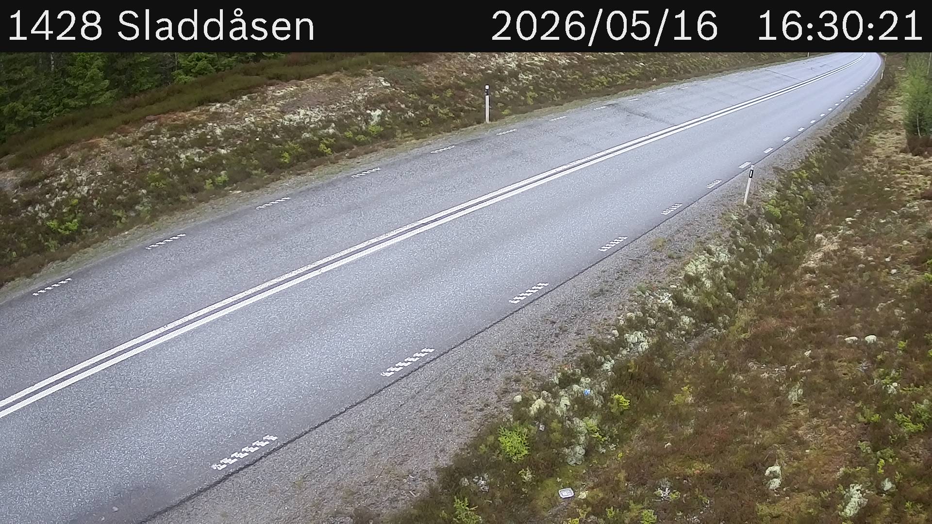 Sladdåsen