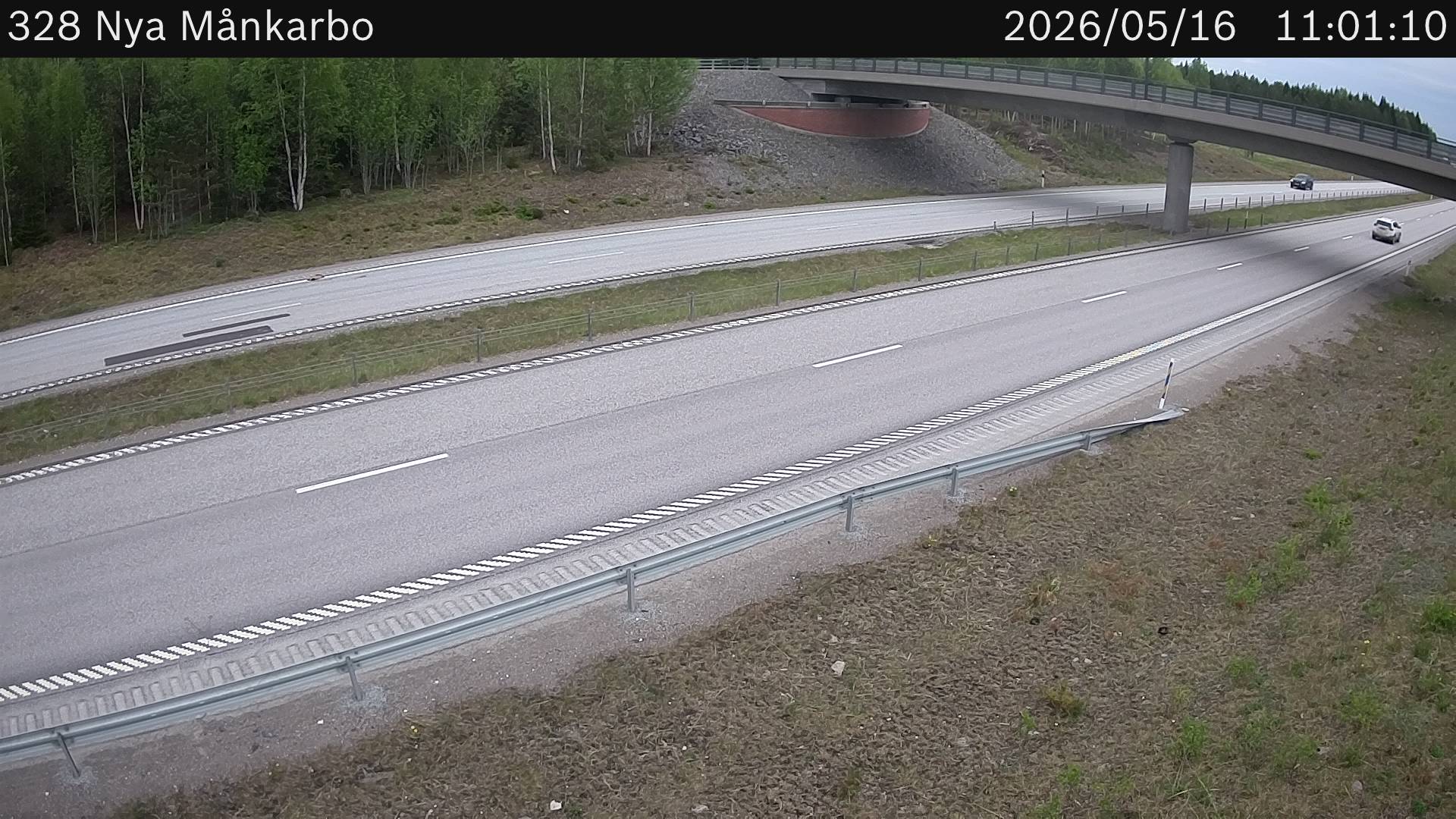 Nya Månkarbo