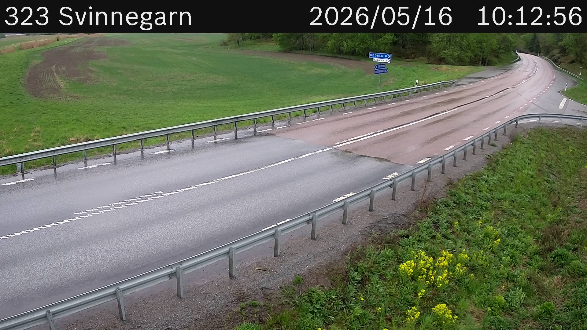 Svinnegarn