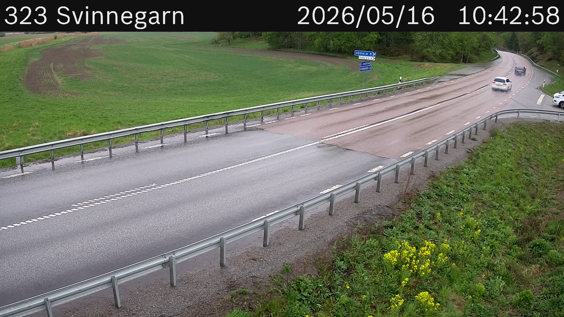Svinnegarn