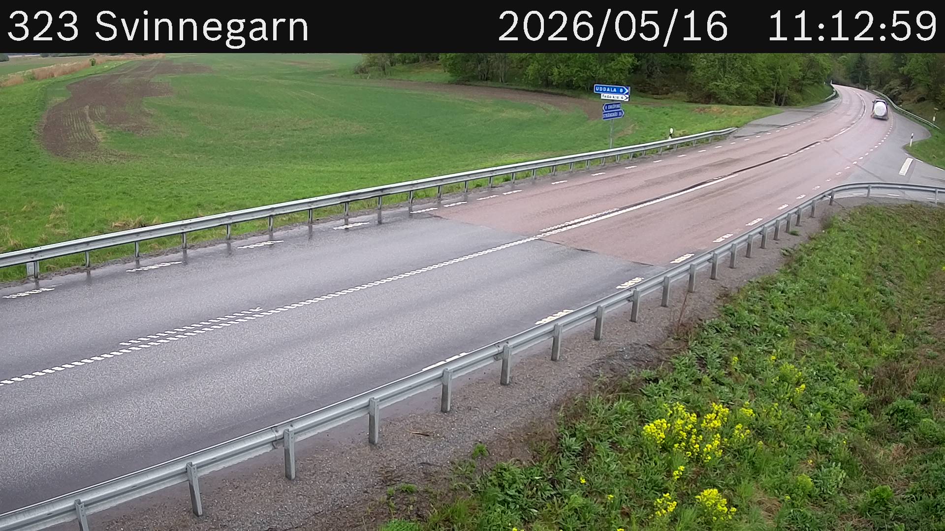 Svinnegarn