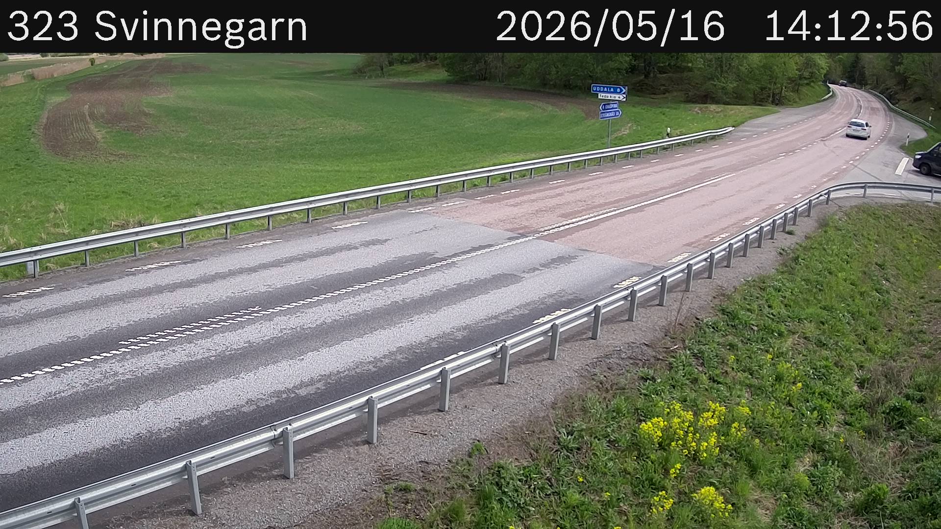 Svinnegarn