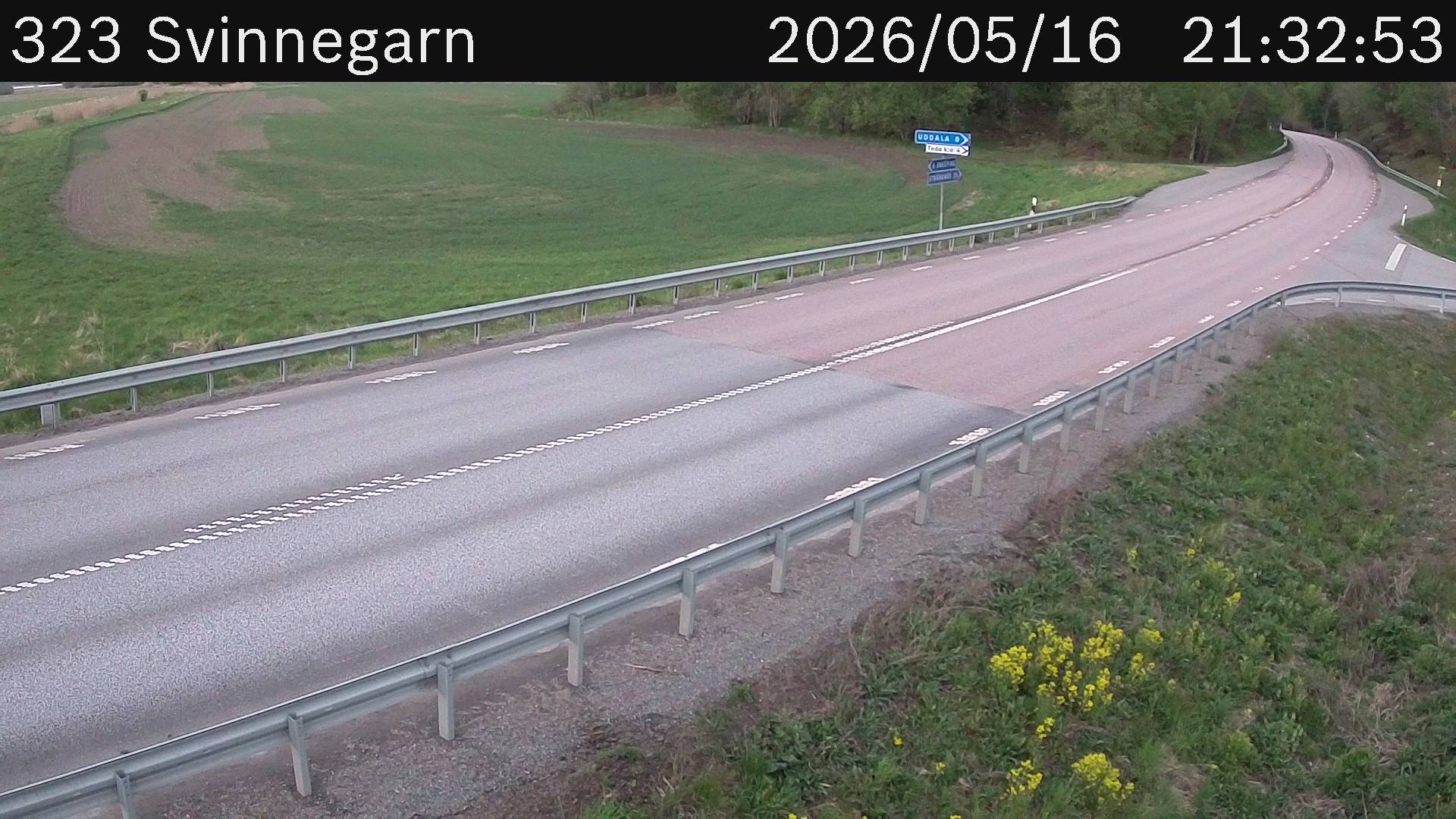 Svinnegarn
