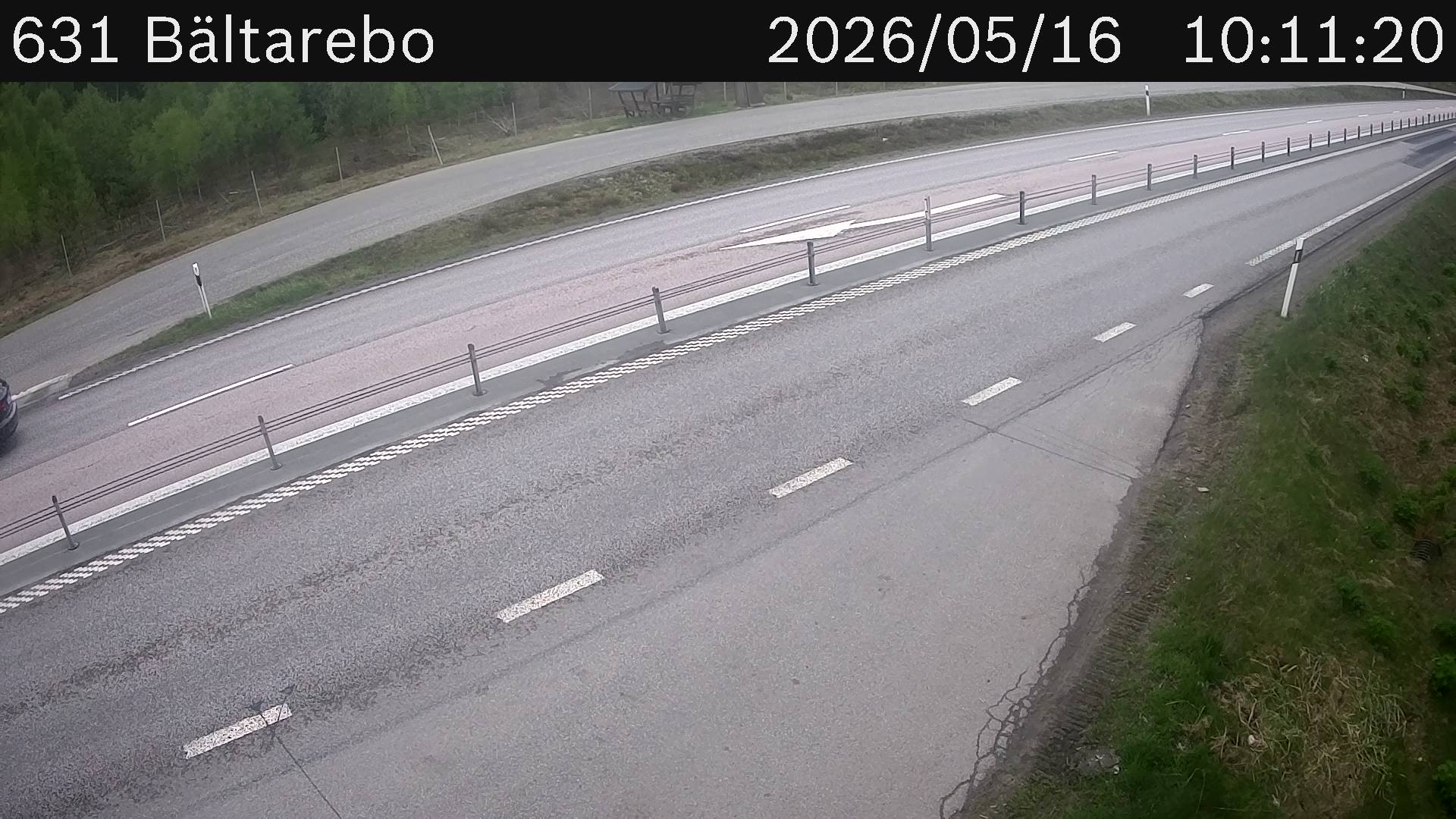 Bältarebo