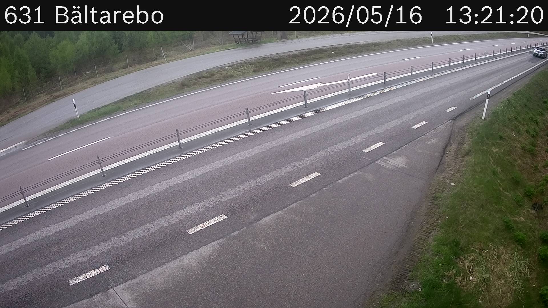 Bältarebo