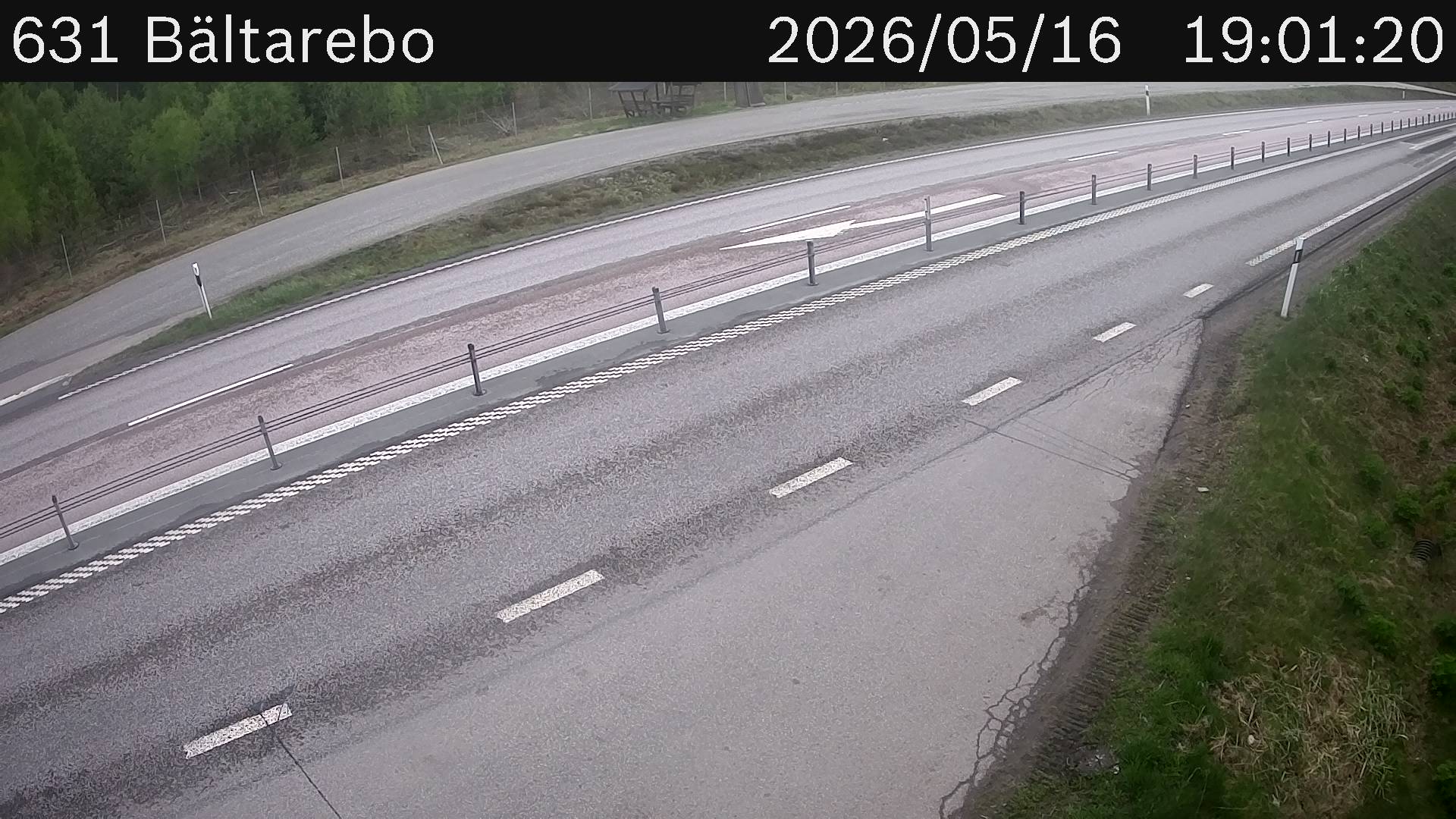 Bältarebo