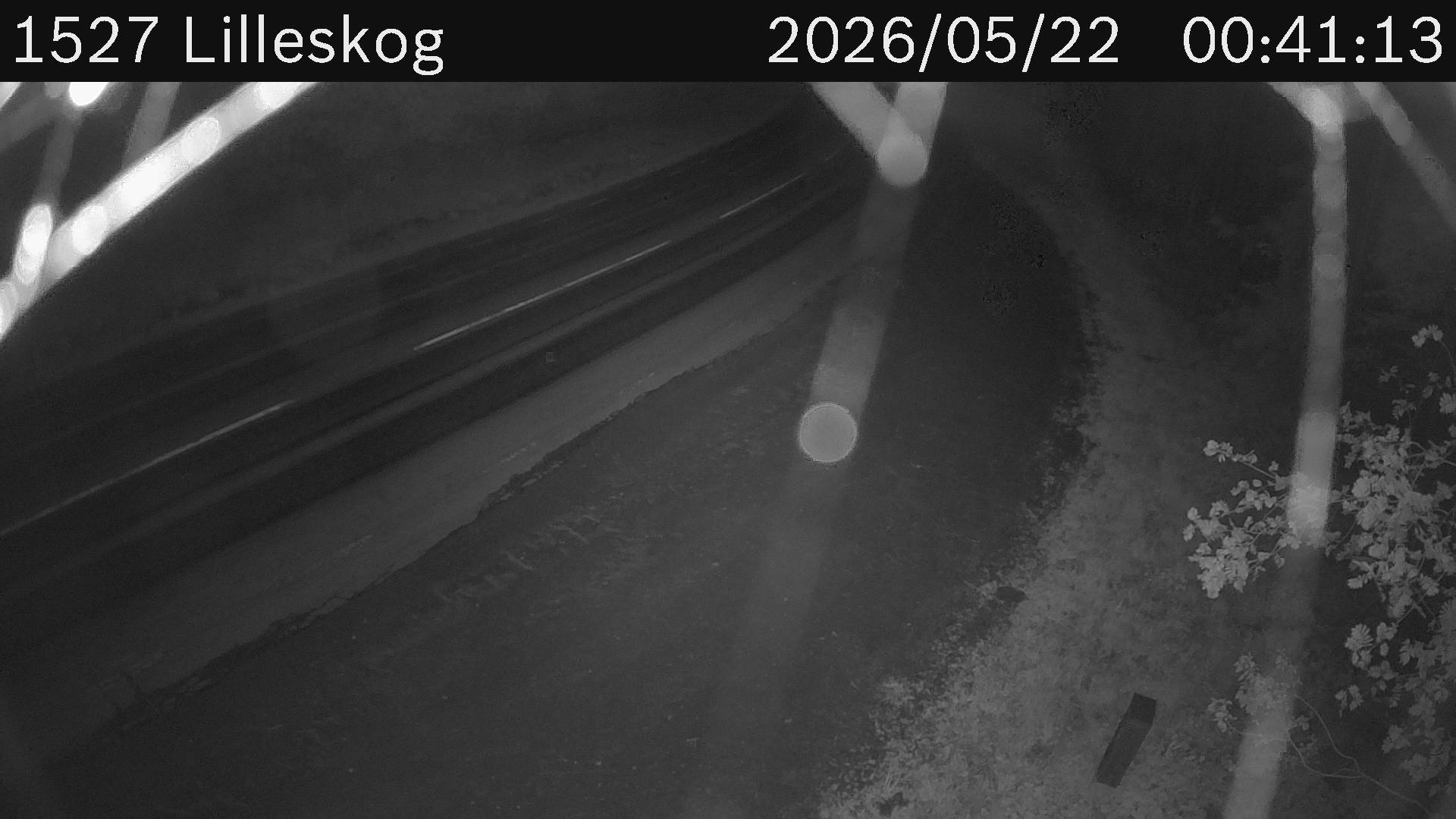 Lilleskog