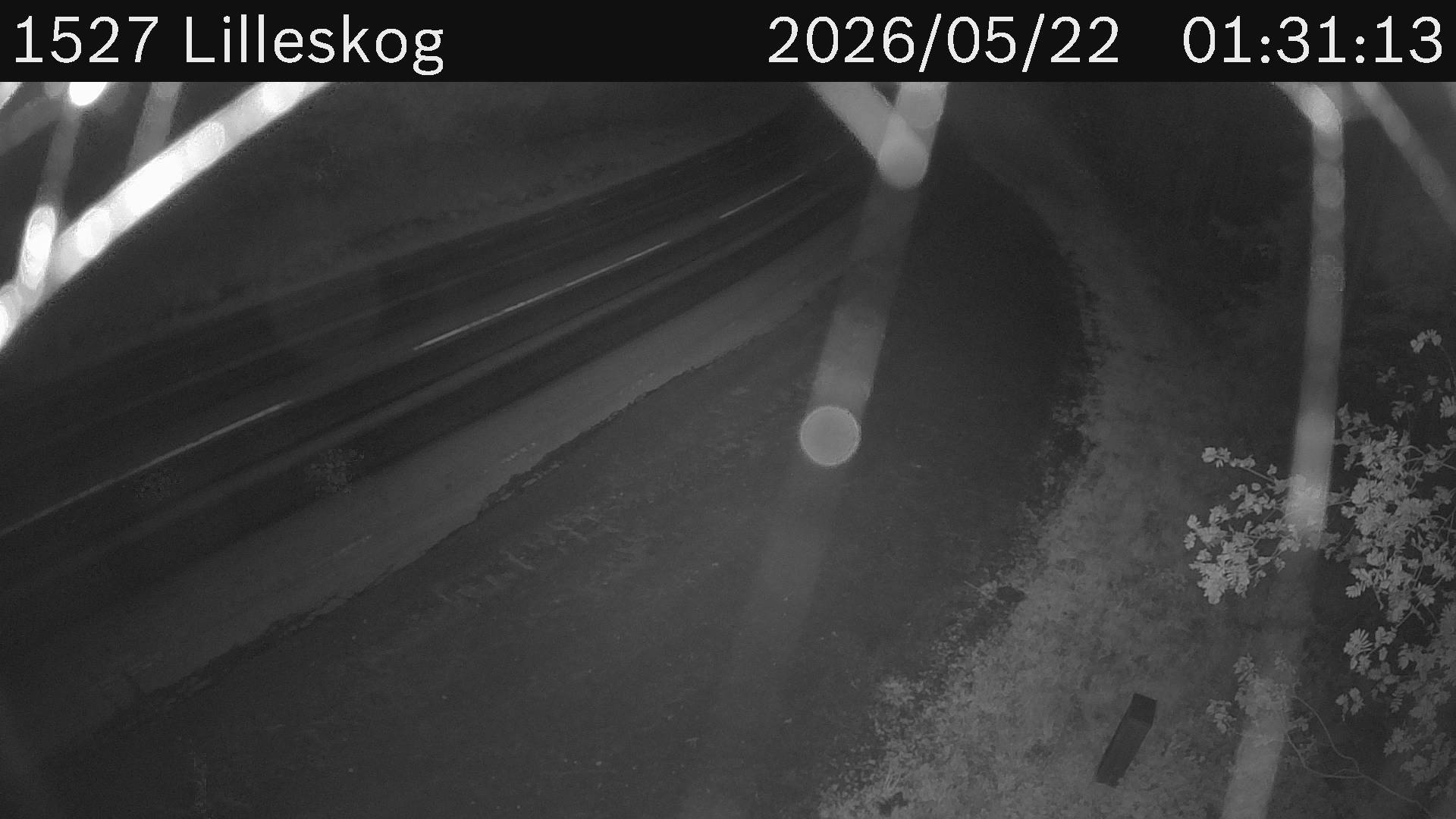 Lilleskog