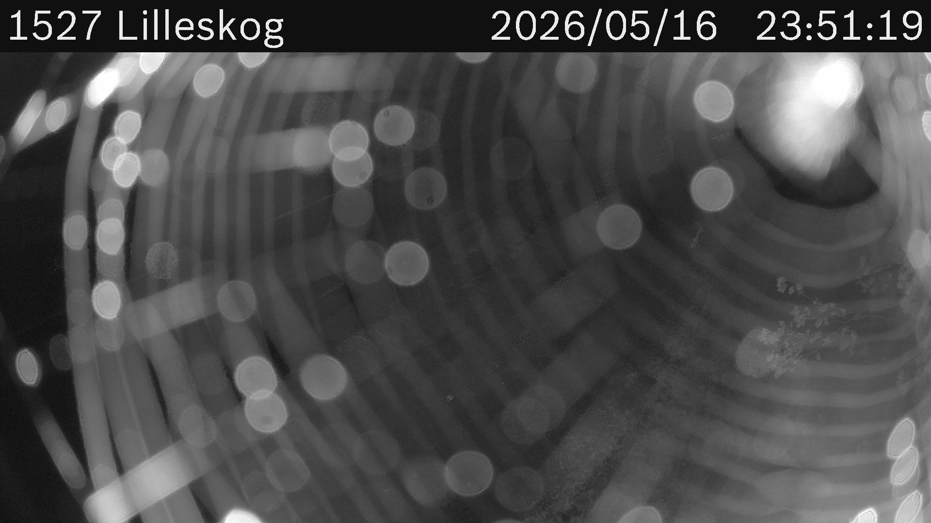 Lilleskog