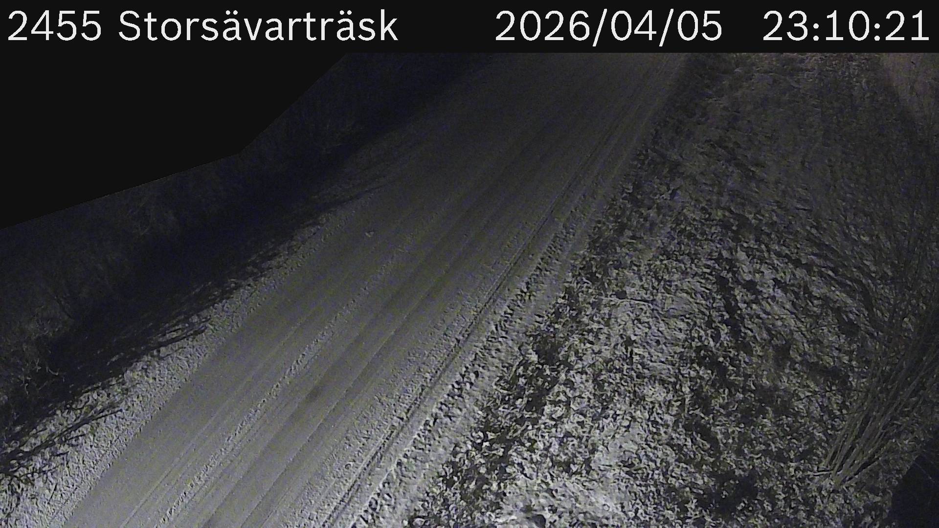 Storsävarträsk
