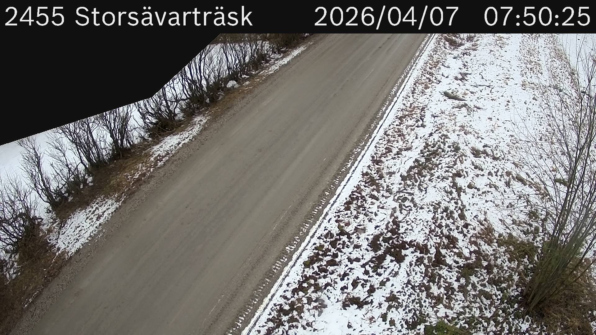 Storsävarträsk