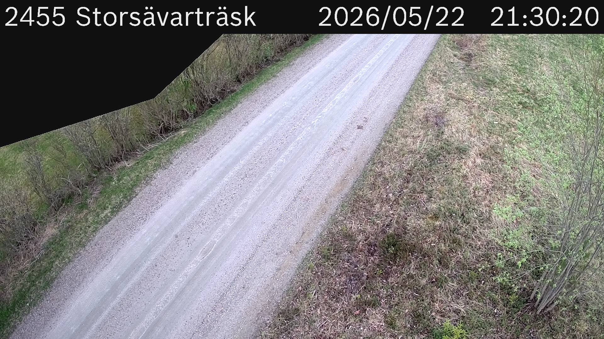 Storsävarträsk