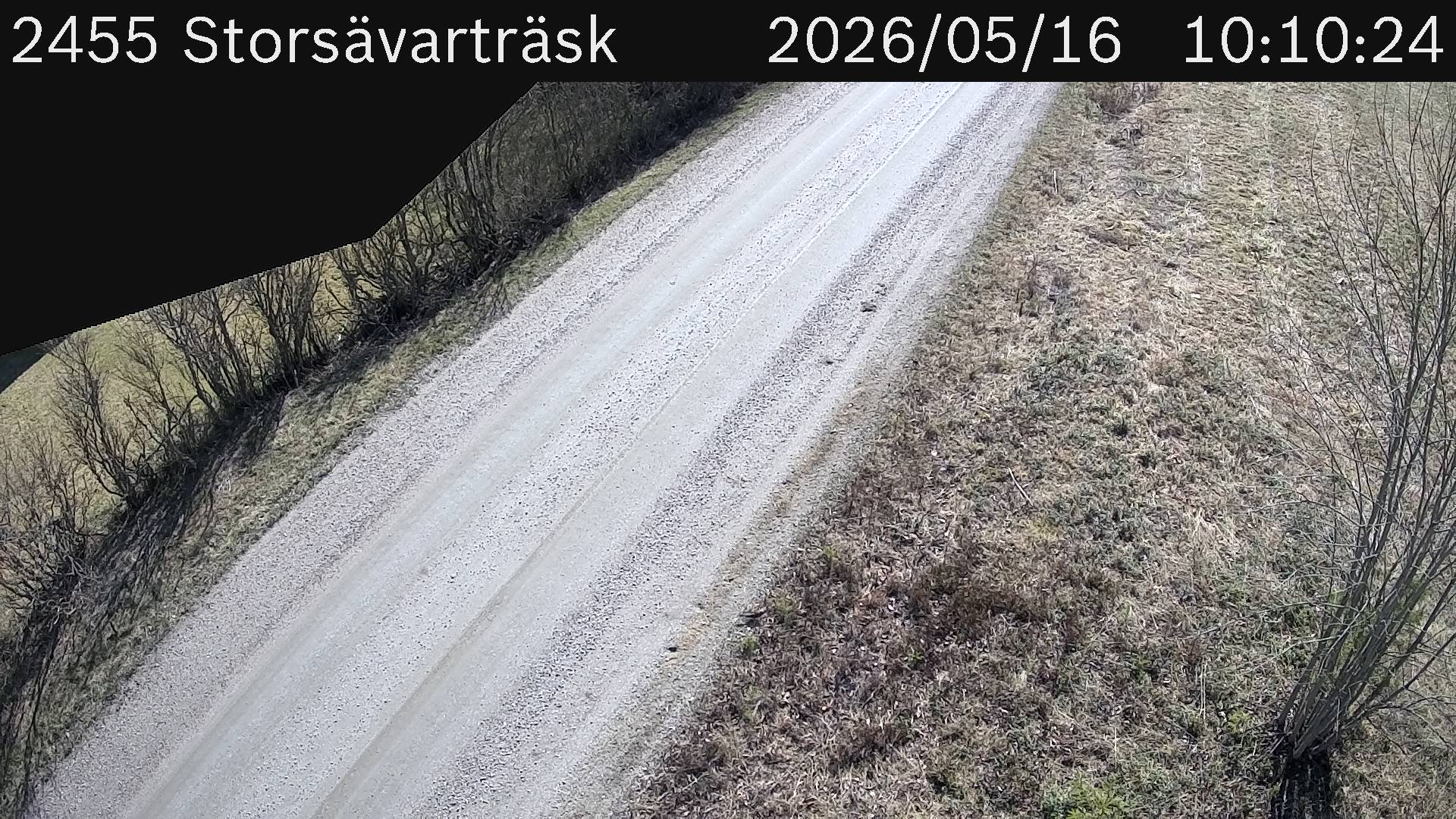 Storsävarträsk