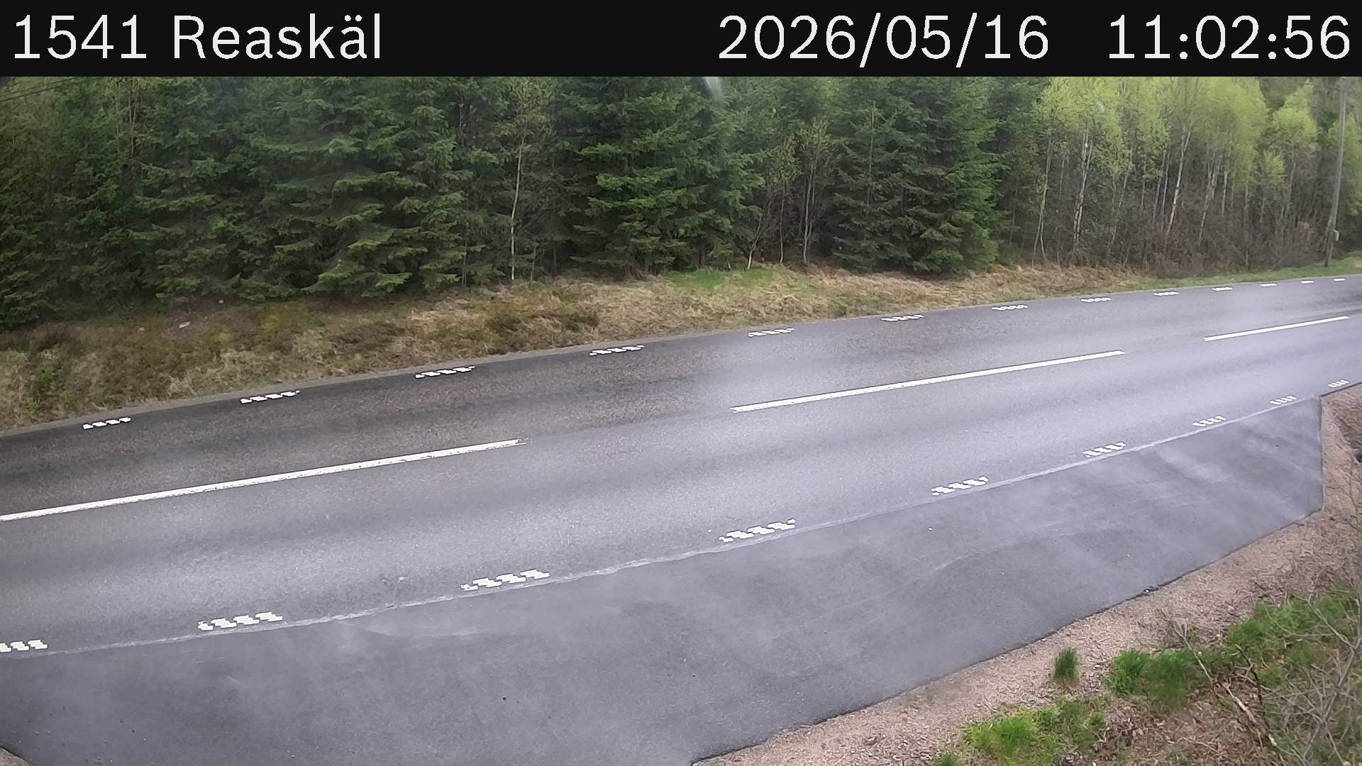 Reaskäl