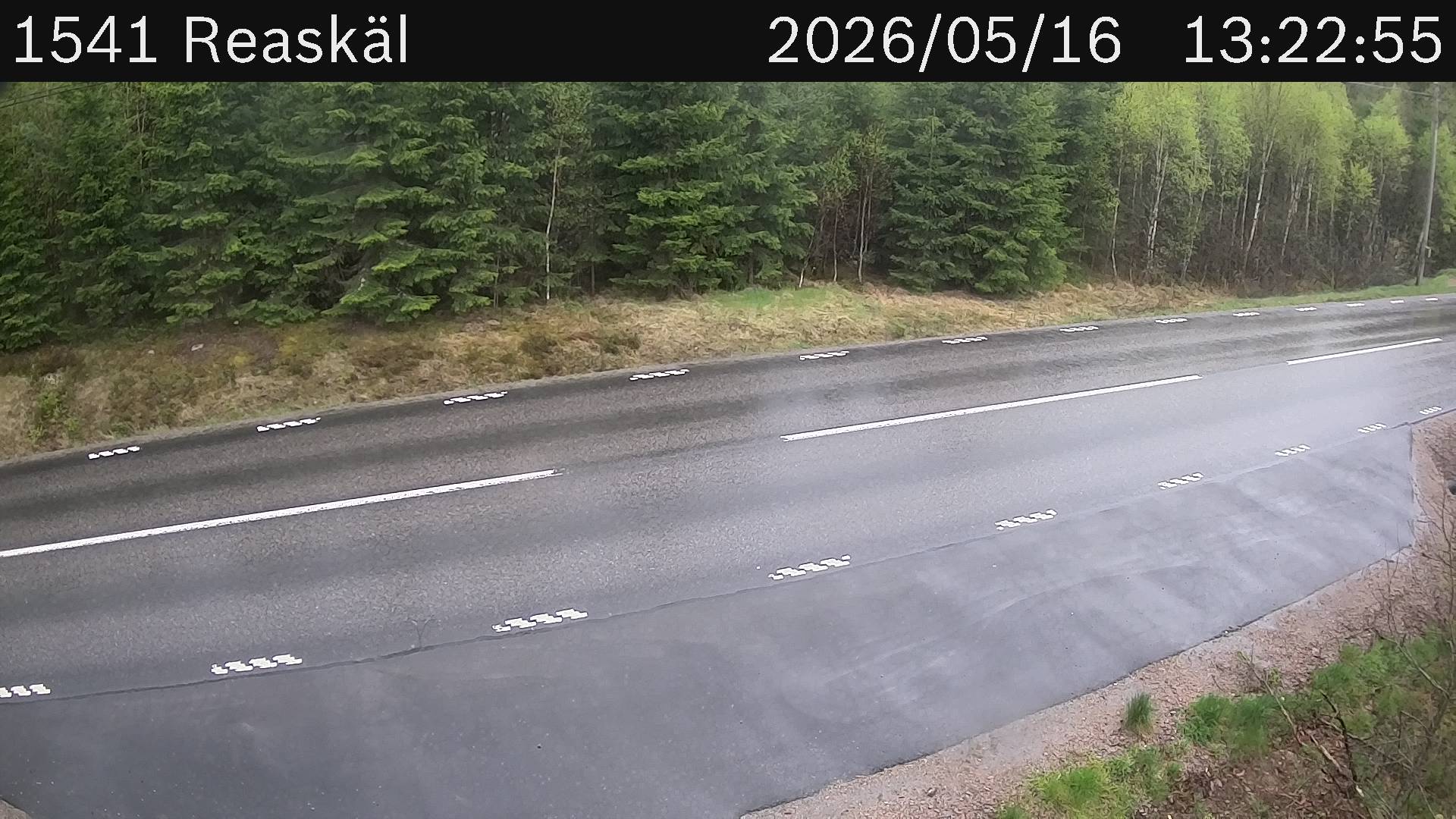 Reaskäl