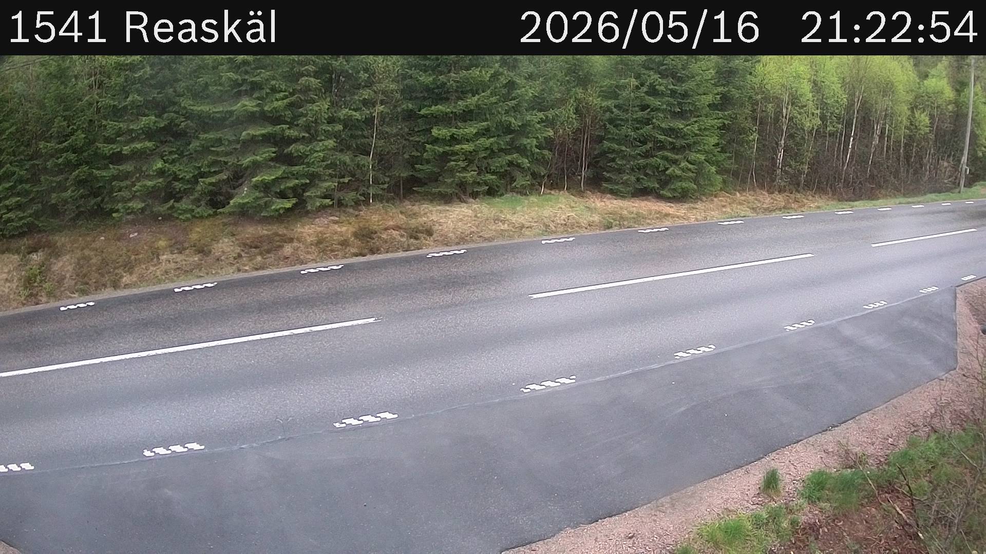 Reaskäl