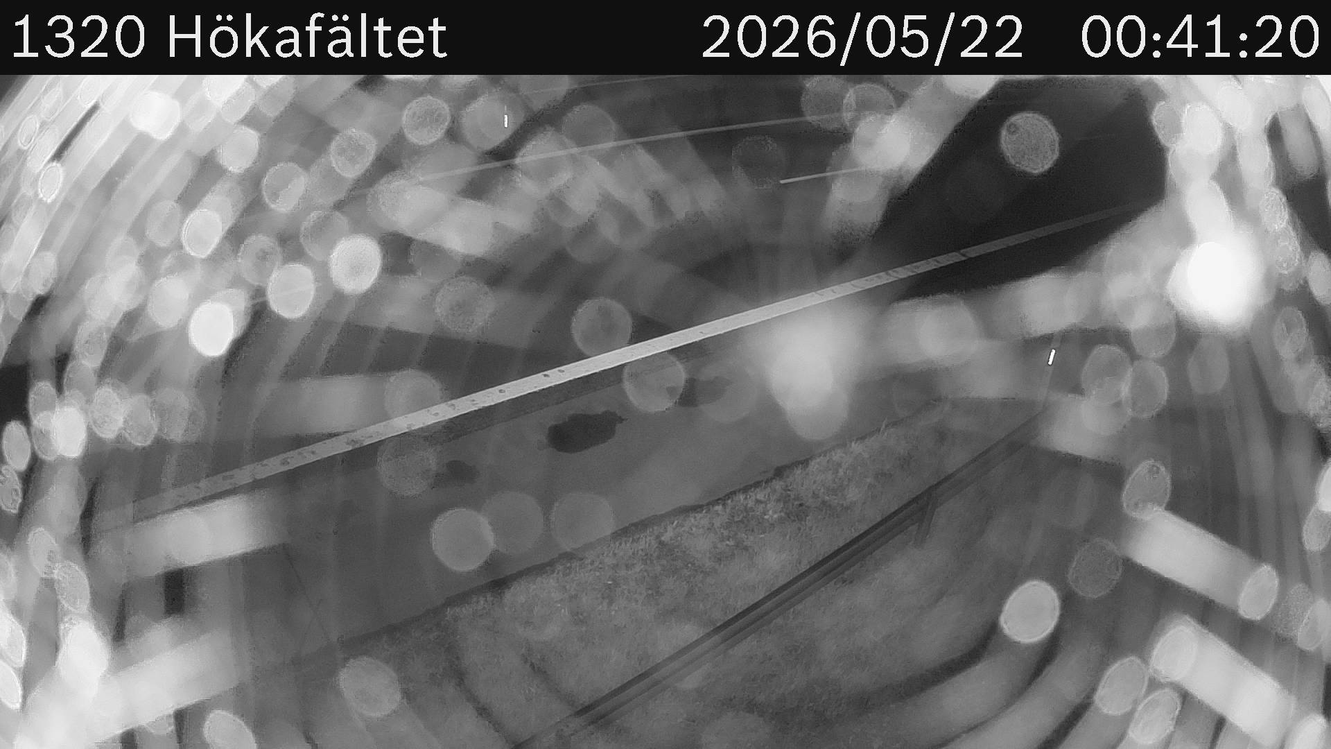 Hökafältet