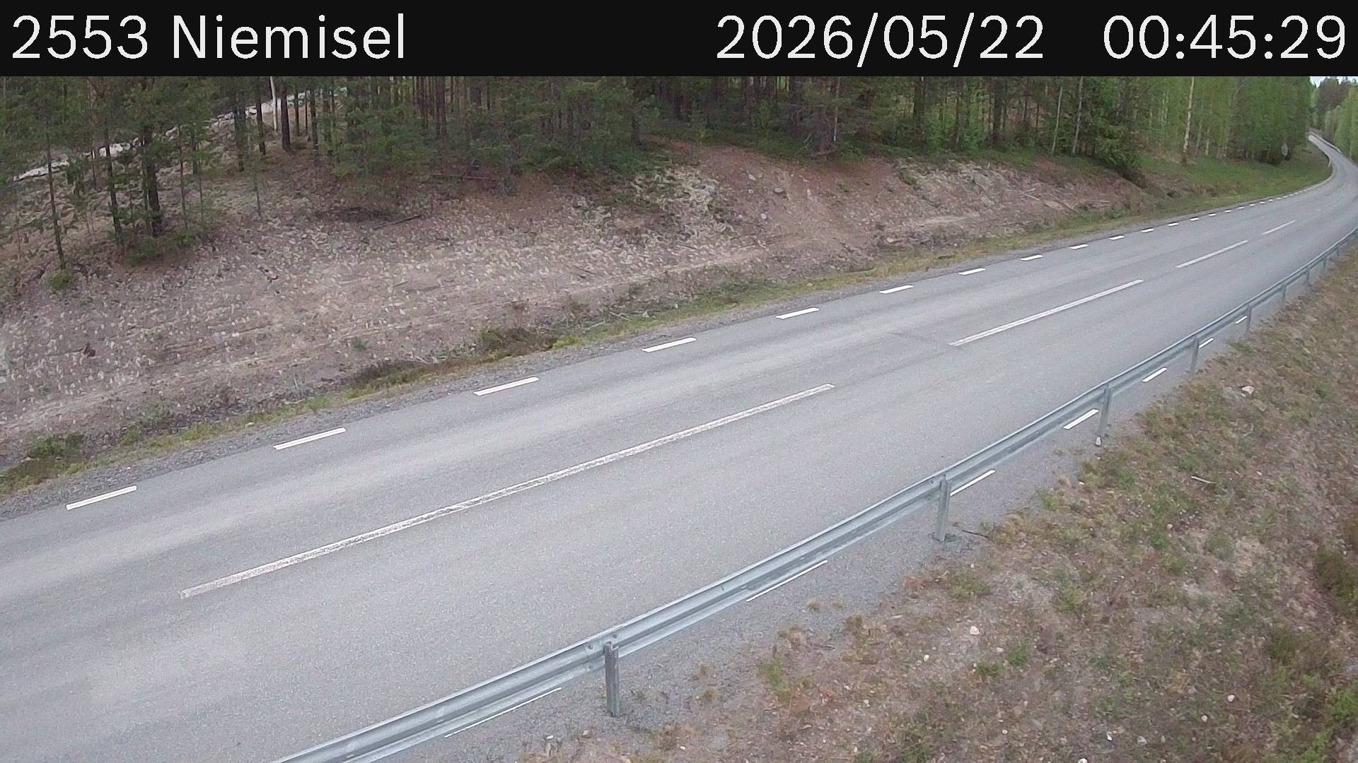 Niemisel