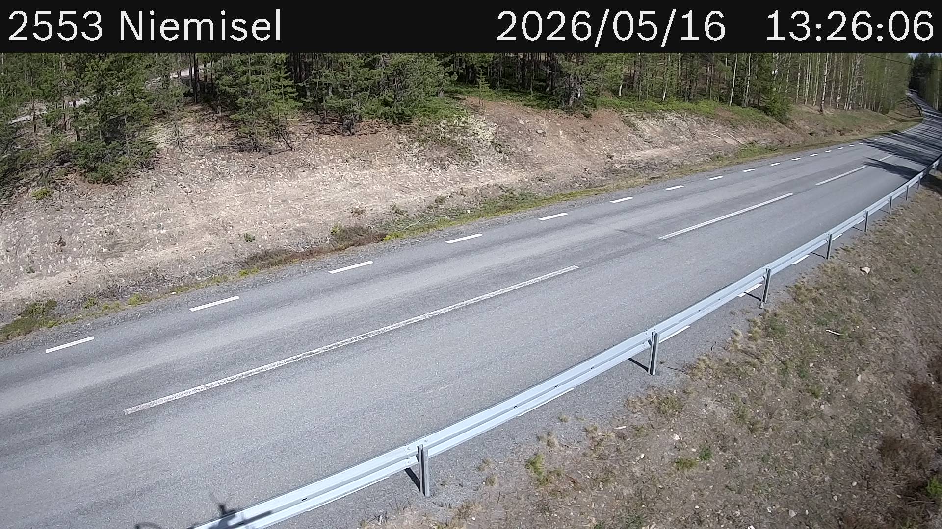 Niemisel